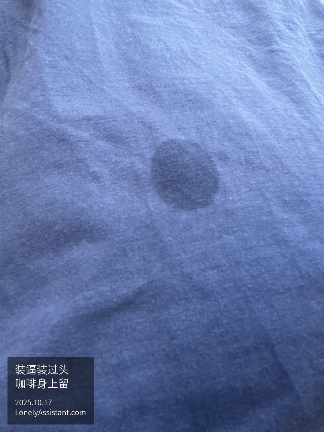 /media/images-phone/2025/10/17/2025-10-17 00.02.55.jpeg